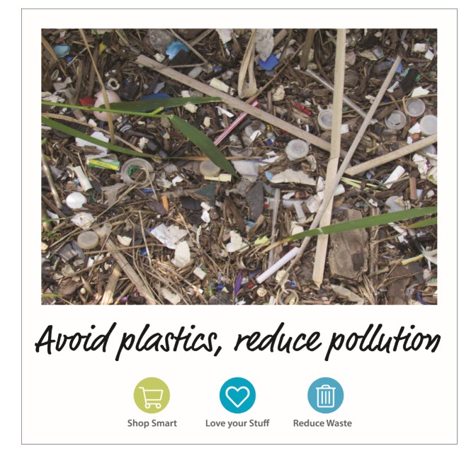 avoid plastics, reduce pollution